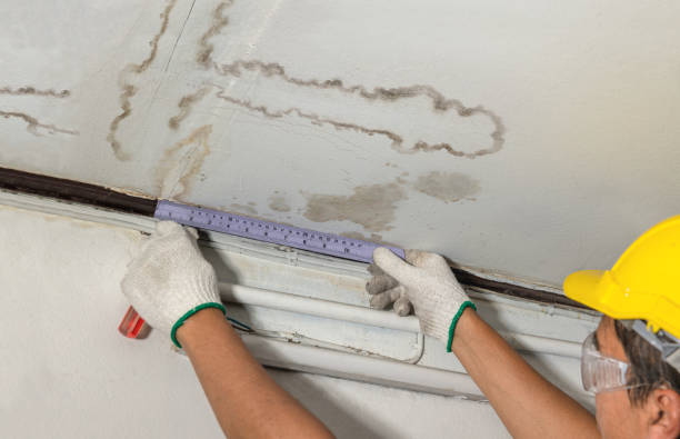 Reliable Mold Remediation contractor in Bellefontaine, OH by Water Damage Irwin